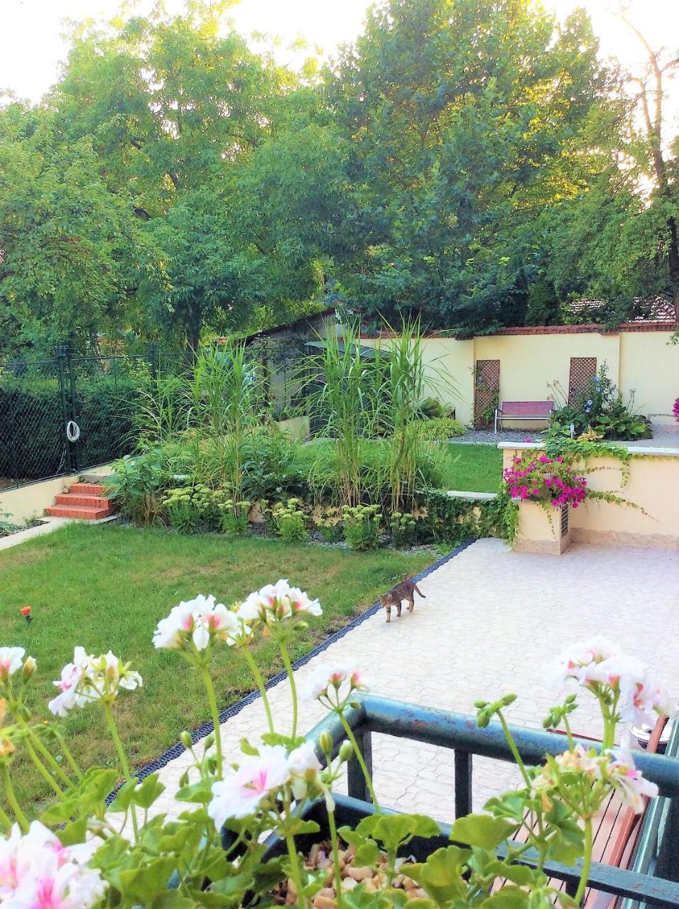Apartament Amaryllis Краков Экстерьер фото